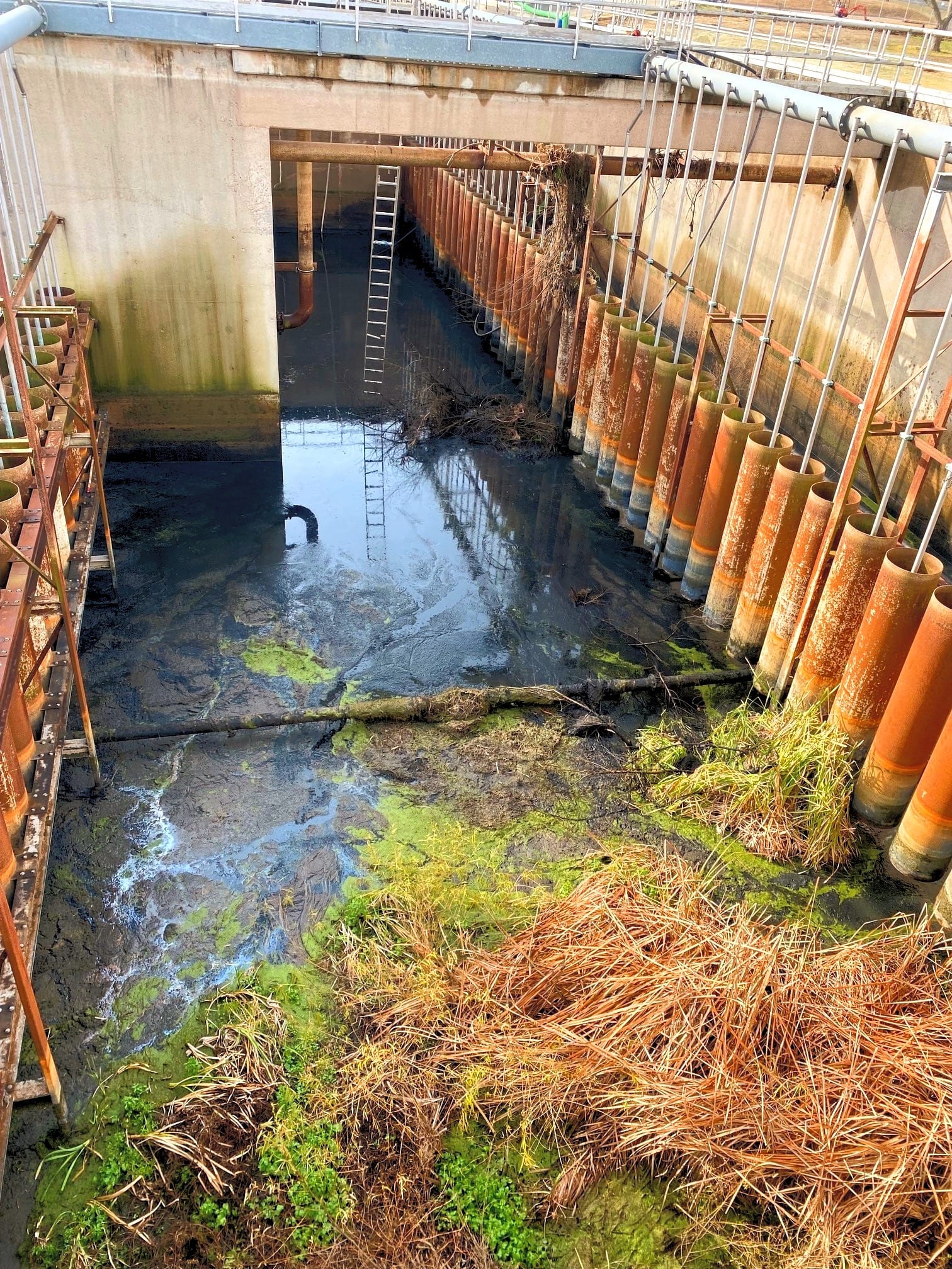 View of a clarifier prior to cleaning